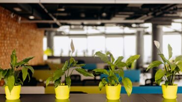 environmentally-friendly coworking office space